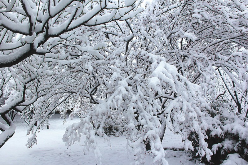 大雪天氣6