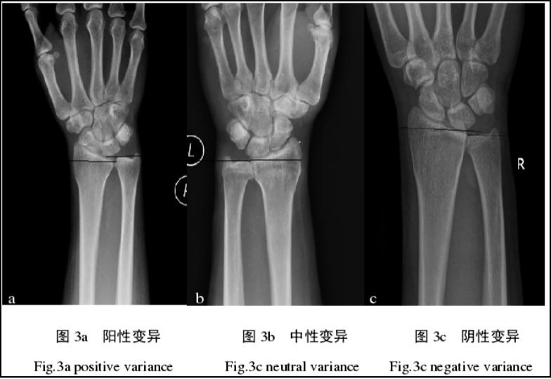 圖片13