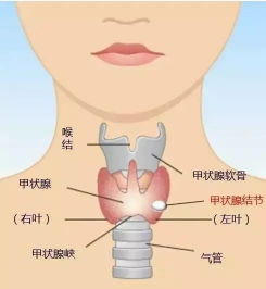 38歲男教師嗓音嘶啞235