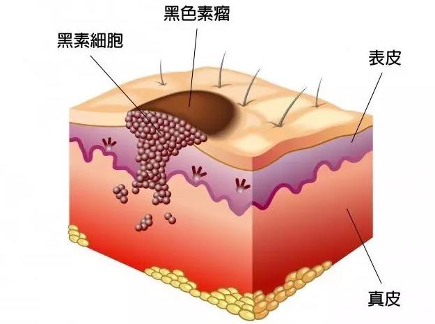 QQ瀏覽器截圖20230510132612