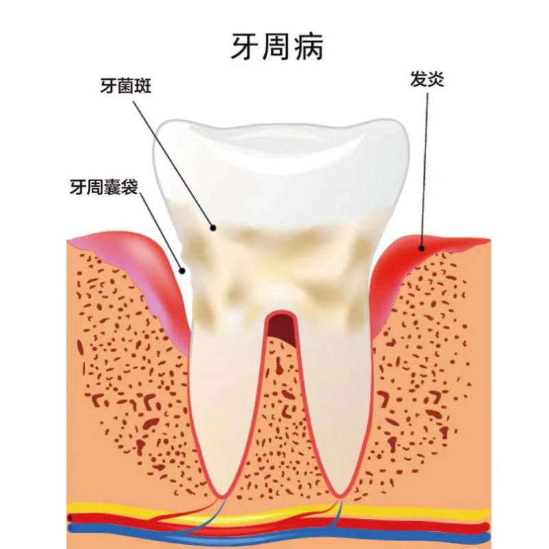 圖片1