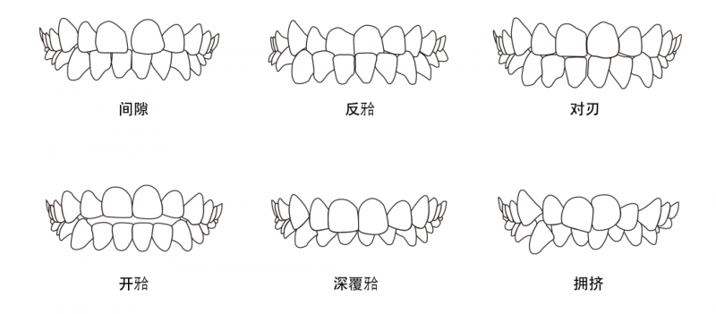 圖片14