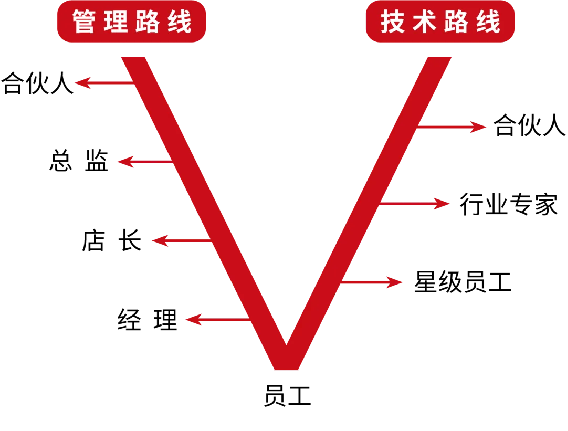 中和豫宴·新豫菜”即將亮相北龍湖,，誠聘有夢想的你1121