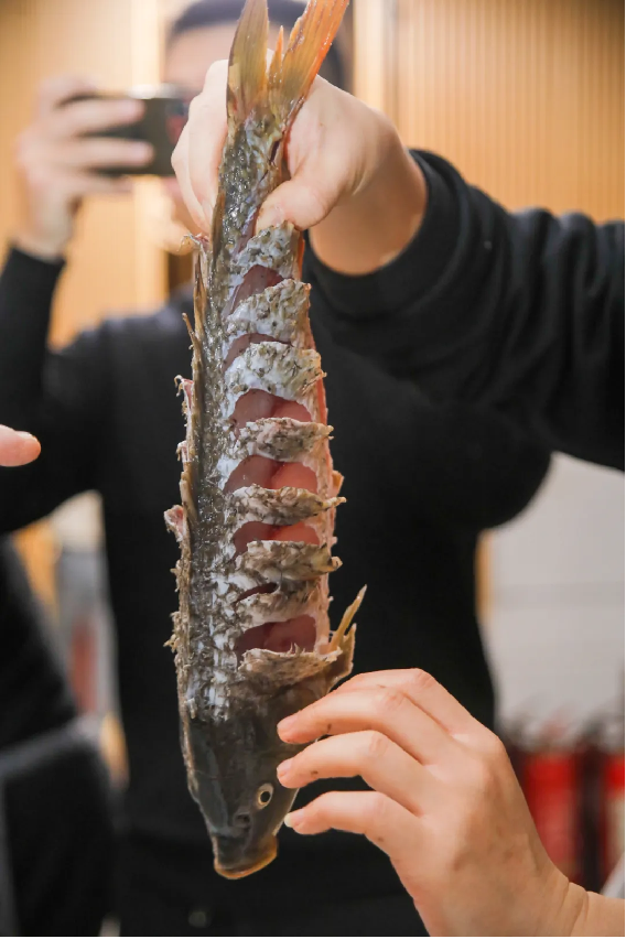 1_“阿五杯”第八屆黃河鯉魚烹飪大賽圓滿“鯉”成429