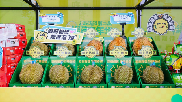 圖片 2