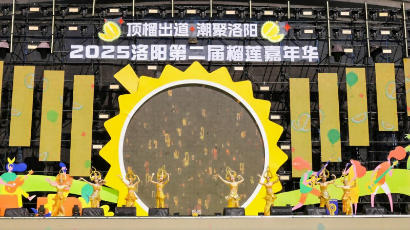 圖片 4