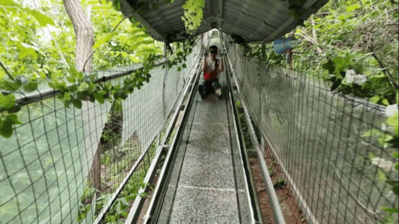 奔赴山野,,向幸福出發(fā)!阿五人的度假旅游有多快樂552